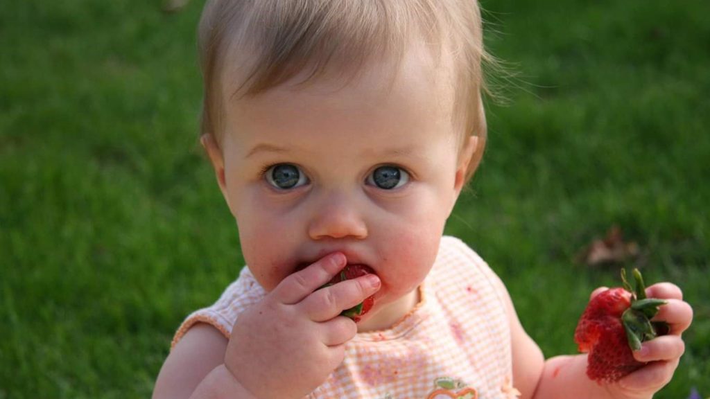 いちごを食べる赤ちゃんの写真